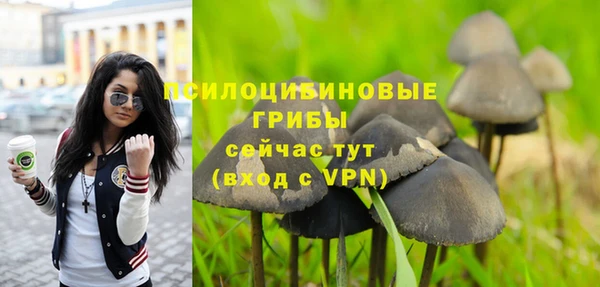 мдпв Балабаново