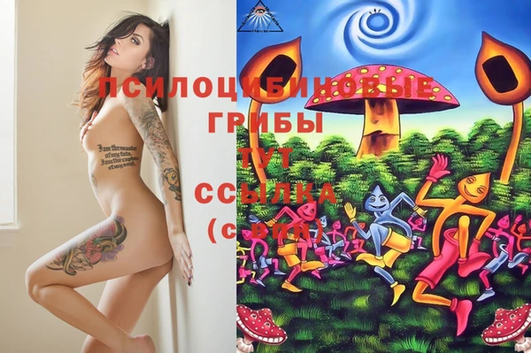 МДПВ Балахна