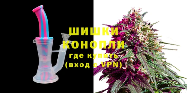 ПСИЛОЦИБИНОВЫЕ ГРИБЫ Баксан