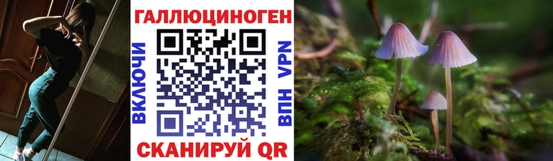 Купить где  Губаха  Псилоцибиновые грибы ЛСД 