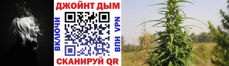 Конопля сатива  Купить где  Губаха 